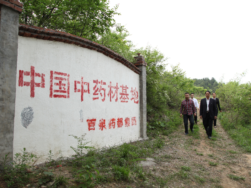 百泉药都中药材种植基地